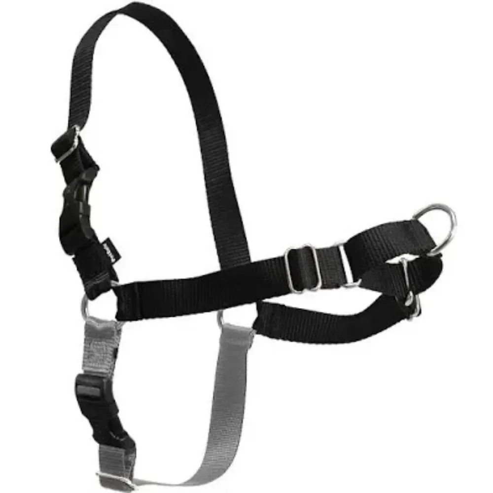 Easy Walk No-Pull Dog Harness & Retractable Lead Set - Large